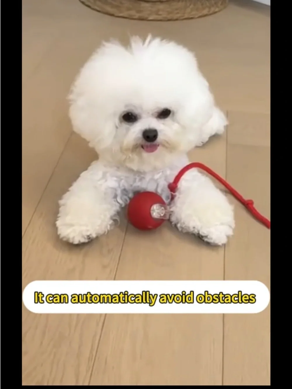 Automatic Rolling Pet Ball Interactive Rechargeable Dog Cat Toy Red